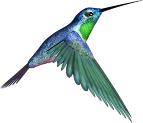 colibri - oiseau - animaux - smiley émoticône émoji cartoon clipart illustration - artémotic