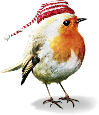 rouge-gorge - oiseau - animaux - smiley émoticône émoji cartoon clipart illustration - artémotic