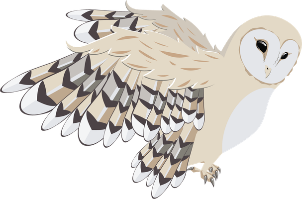 chouette - oiseau - animaux - smiley émoticône émoji cartoon clipart illustration - artémotic