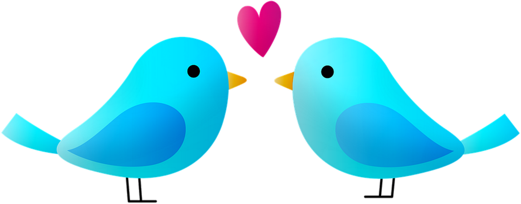 oiseau divers - animaux - smiley émoticône émoji cartoon clipart illustration - artémotic