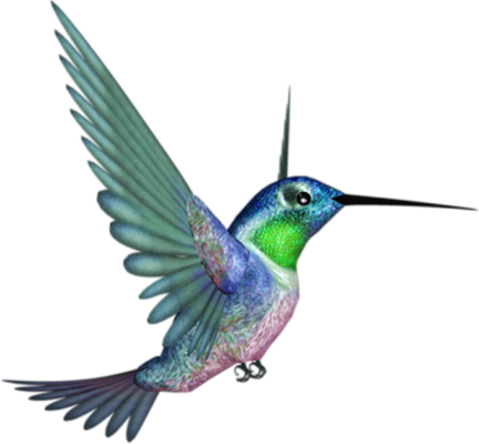 colibri - oiseau - animaux - smiley émoticône émoji cartoon clipart illustration - artémotic