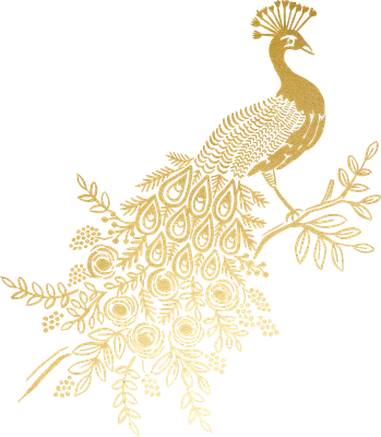 paon - oiseau - animaux - smiley émoticône émoji cartoon clipart illustration - artémotic