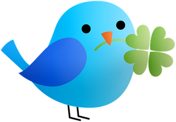 oiseau divers - animaux - smiley émoticône émoji cartoon clipart illustration - artémotic
