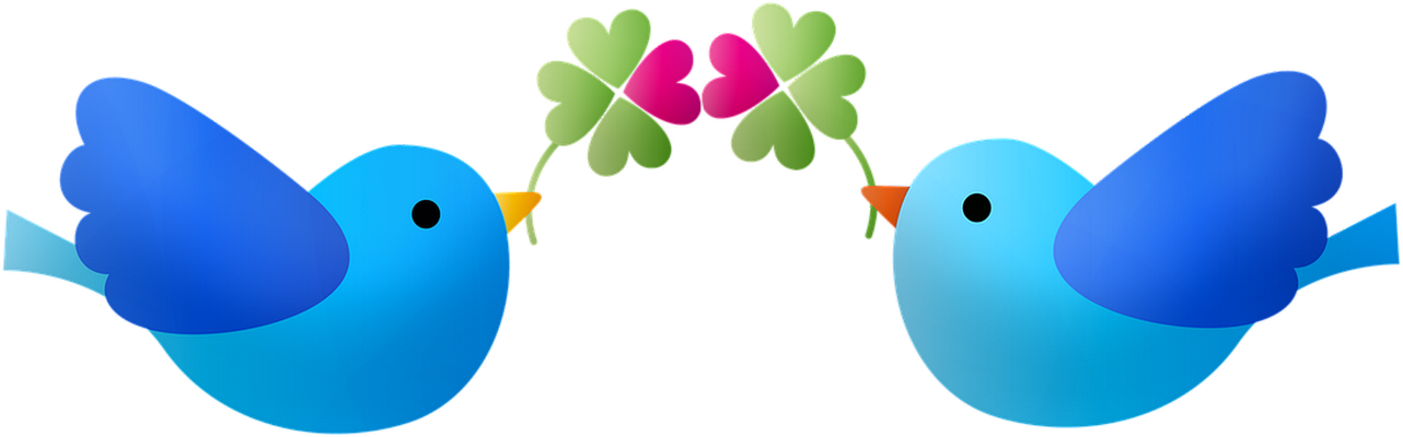 oiseau divers - animaux - smiley émoticône émoji cartoon clipart illustration - artémotic