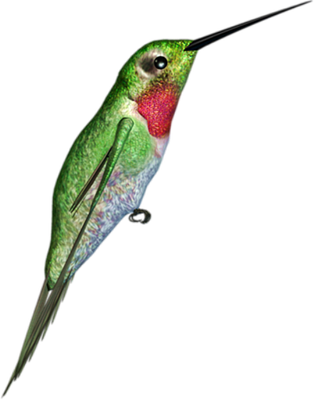 colibri - oiseau - animaux - smiley émoticône émoji cartoon clipart illustration - artémotic