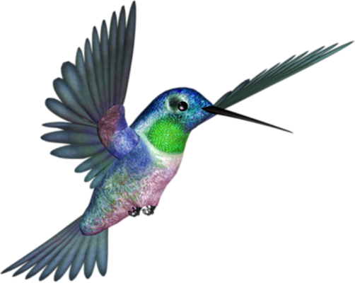 colibri - oiseau - animaux - smiley émoticône émoji cartoon clipart illustration - artémotic