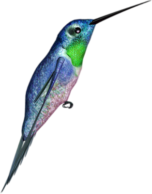 colibri - oiseau - animaux - smiley émoticône émoji cartoon clipart illustration - artémotic
