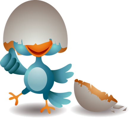 oiseau divers - animaux - smiley émoticône émoji cartoon clipart illustration - artémotic