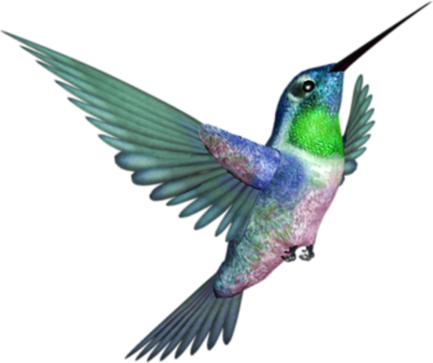 colibri - oiseau - animaux - smiley émoticône émoji cartoon clipart illustration - artémotic