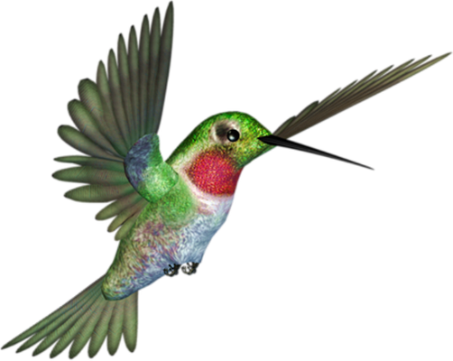 colibri - oiseau - animaux - smiley émoticône émoji cartoon clipart illustration - artémotic