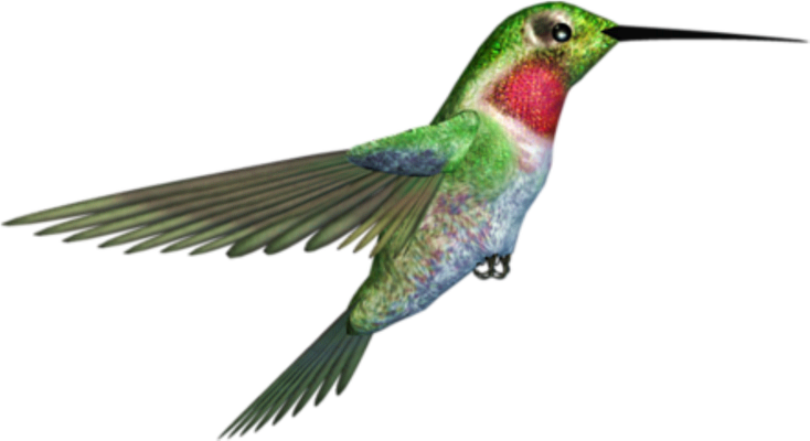 colibri - oiseau - animaux - smiley émoticône émoji cartoon clipart illustration - artémotic