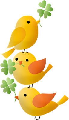 oiseau divers - animaux - smiley émoticône émoji cartoon clipart illustration - artémotic
