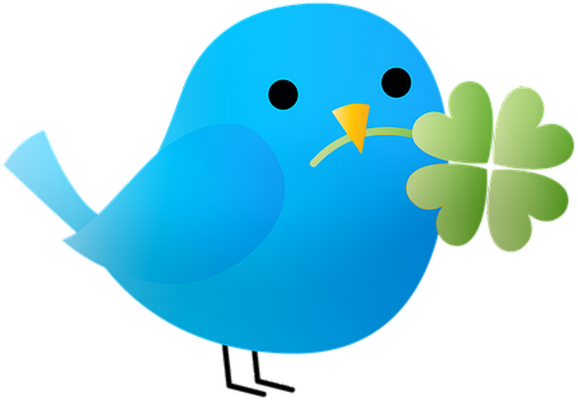 oiseau divers - animaux - smiley émoticône émoji cartoon clipart illustration - artémotic