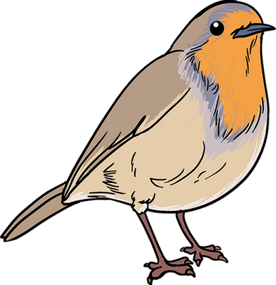 rouge-gorge - oiseau - animaux - smiley émoticône émoji cartoon clipart illustration - artémotic