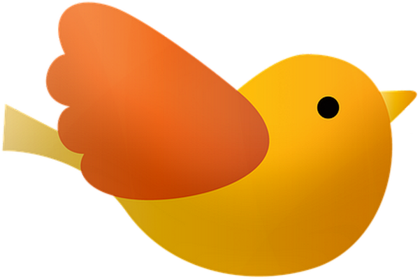 oiseau divers - animaux - smiley émoticône émoji cartoon clipart illustration - artémotic