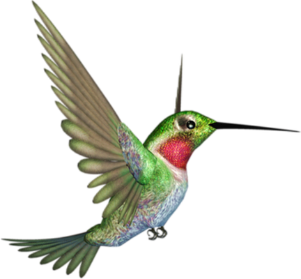 colibri - oiseau - animaux - smiley émoticône émoji cartoon clipart illustration - artémotic