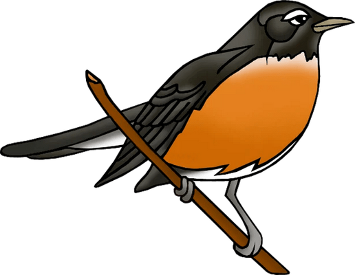 rouge-gorge - oiseau - animaux - smiley émoticône émoji cartoon clipart illustration - artémotic