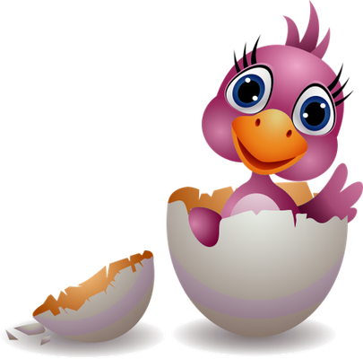 oiseau divers - animaux - smiley émoticône émoji cartoon clipart illustration - artémotic