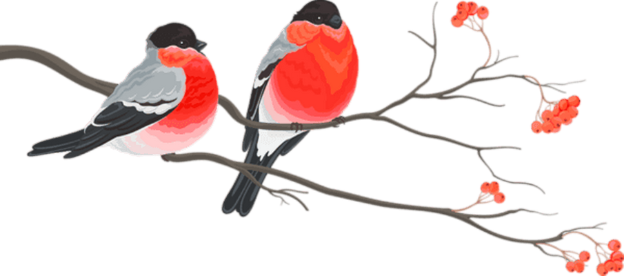 rouge-gorge - oiseau - animaux - smiley émoticône émoji cartoon clipart illustration - artémotic