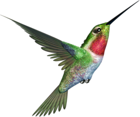 colibri - oiseau - animaux - smiley émoticône émoji cartoon clipart illustration - artémotic