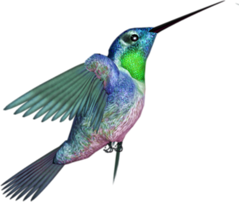 colibri - oiseau - animaux - smiley émoticône émoji cartoon clipart illustration - artémotic