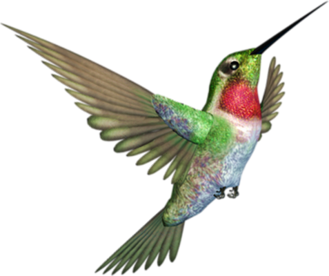 colibri - oiseau - animaux - smiley émoticône émoji cartoon clipart illustration - artémotic