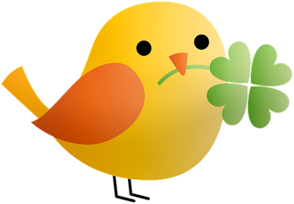 oiseau divers - animaux - smiley émoticône émoji cartoon clipart illustration - artémotic