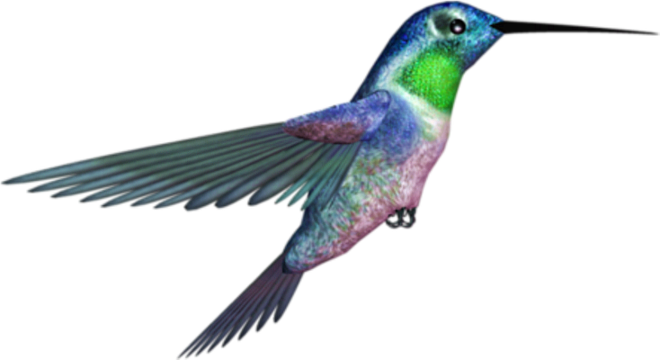 colibri - oiseau - animaux - smiley émoticône émoji cartoon clipart illustration - artémotic