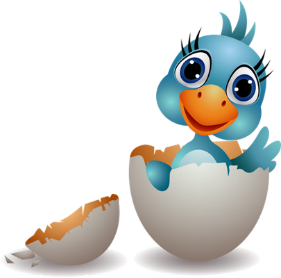 oiseau divers - animaux - smiley émoticône émoji cartoon clipart illustration - artémotic