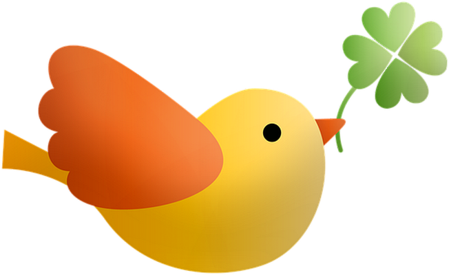 oiseau divers - animaux - smiley émoticône émoji cartoon clipart illustration - artémotic