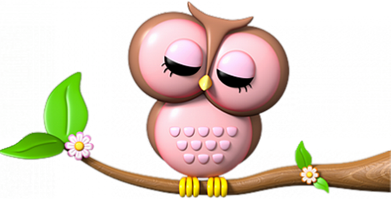 chouette - oiseau - animaux - smiley émoticône émoji cartoon clipart illustration - artémotic