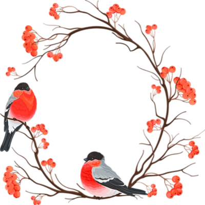 rouge-gorge - oiseau - animaux - smiley émoticône émoji cartoon clipart illustration - artémotic