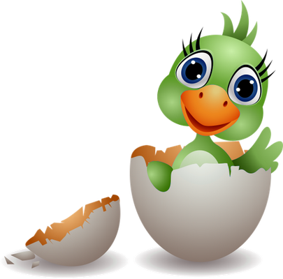 oiseau divers - animaux - smiley émoticône émoji cartoon clipart illustration - artémotic