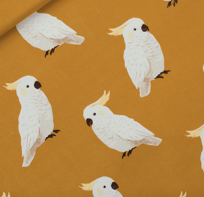 Cockatoo