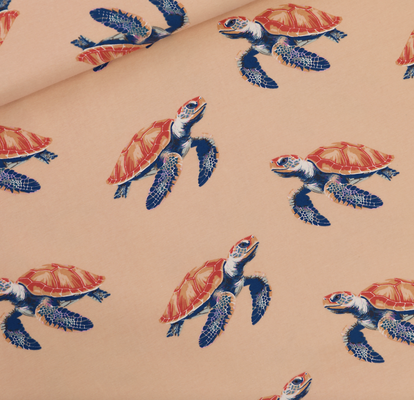 Sea Turtles