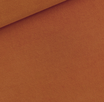 Autumn Maple Orange