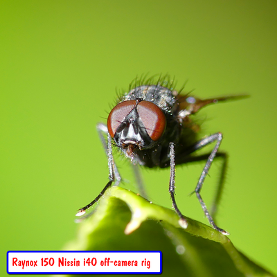 The Suitability Of Micro Sdxc Memory Cards In Cameras