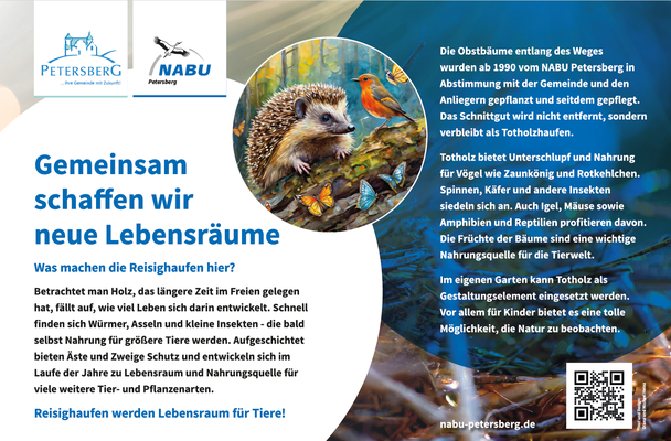 Erläuterung zu angelegten Benjeshecken