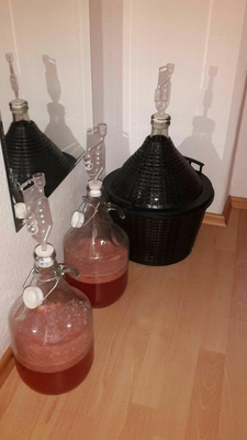 2x Erdbeee, 1x Kiwiwein