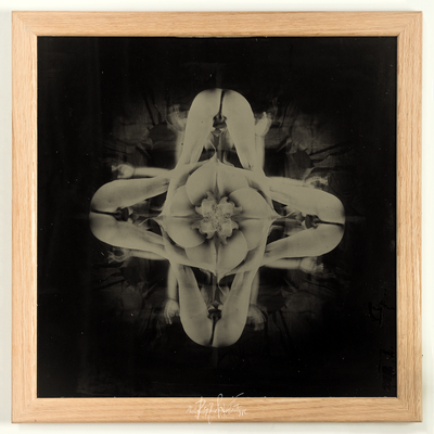 ©Raphaël Laurand - "L'Orchidée" - Ambrotype 40x40cm