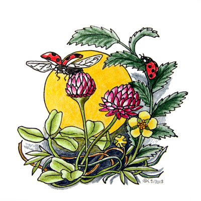 Marienkäfer (Zeichenblock, 21x29cm)