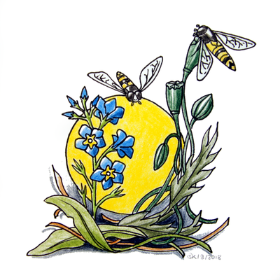 Schwebfliegen (Zeichenblock, 21x29cm)
