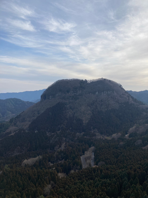 鷹巣山　山全体が国の特別天然記念物です