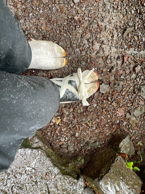 地下足袋の底が取れましたが無事に下山していただけました