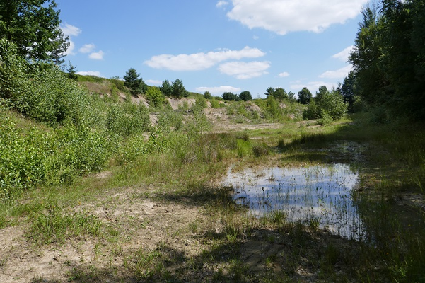 östlicher Teil der Sandgrube Gärtenroth