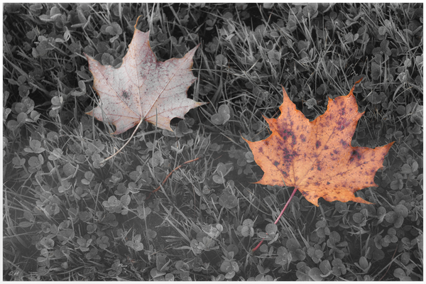 Alles hat zwei Seiten