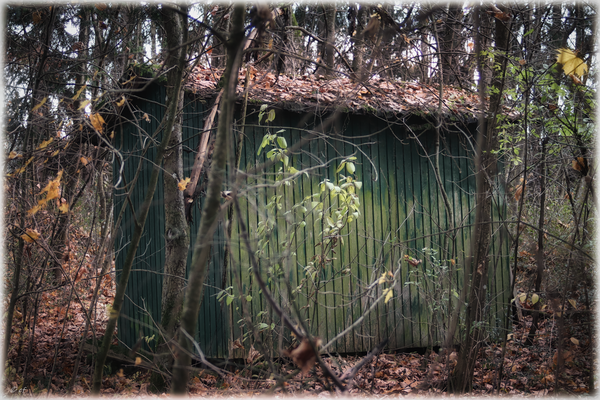 Der alte Schuppen