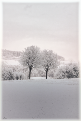 Die Schwestern