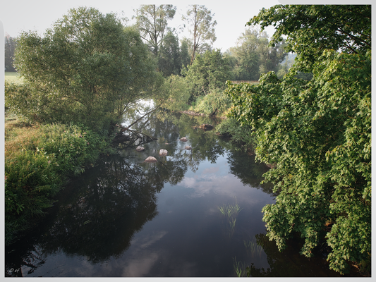 Die Brigach
