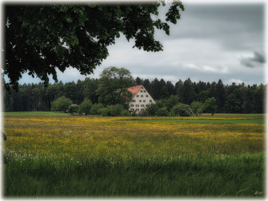 Der neue Spitalhof
